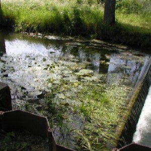 Vigicrues inondation Château-Salins Petite Seille