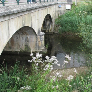 Vigicrues inondation Quemigny-sur-Seine Seine