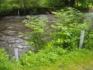 Vigicrues inondation Eymoutiers Vienne