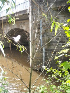 Vigicrues inondation Aixe-sur-Vienne Vienne