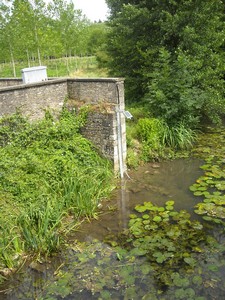 Vigicrues inondation Latillé Auxance [bras principal]