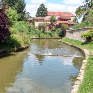 Vigicrues inondation Châtillon-sur-Chalaronne Chalaronne